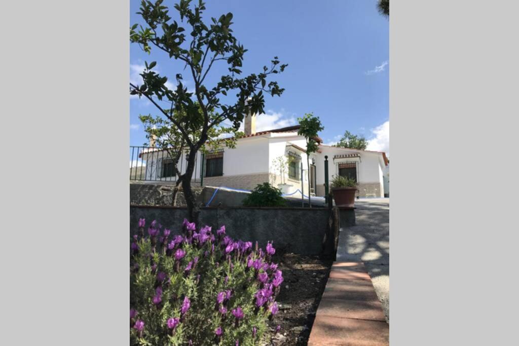 Casa Dimas Villa Competa Bagian luar foto